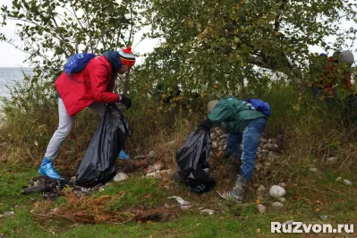 Уборка Территории фото 1