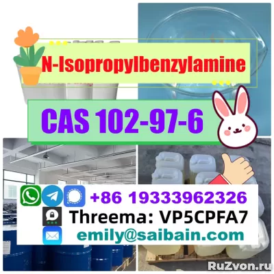 CAS 102-97-6 N-Isopropylbenzylamine 100% Pass Customs delive фото 3