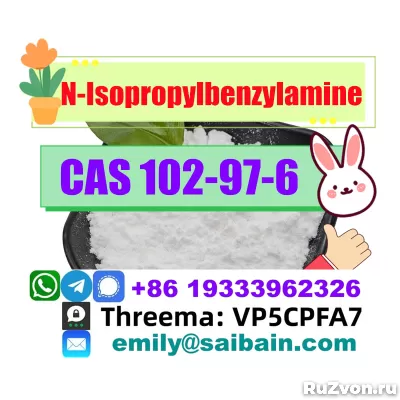 CAS 102-97-6 N-Isopropylbenzylamine 100% Pass Customs delive фото 2