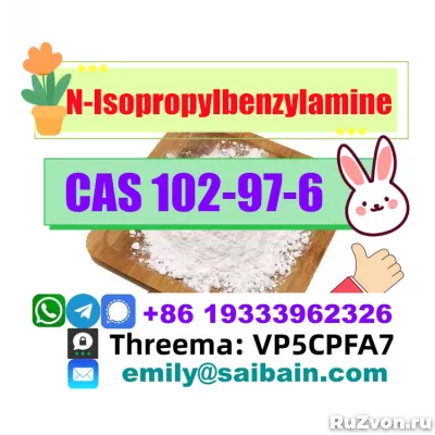 CAS 102-97-6 N-Isopropylbenzylamine 100% Pass Customs delive фото 1