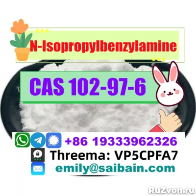 CAS 102-97-6 N-Isopropylbenzylamine 100% Pass Customs delive фото