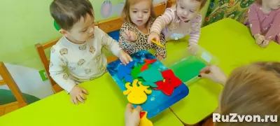 Детский сад с яслями КоалаМама (от 1, 2 года) в СПб фото 3