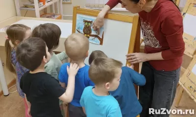 Детский сад с яслями КоалаМама (от 1, 2 года) в СПб фото 2