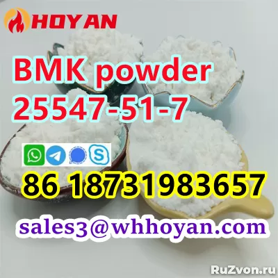 Bmk glycidic acid cas 25547-51-7 powder wholesale фото