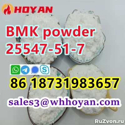 Bmk glycidic acid cas 25547-51-7 powder wholesale фото 1