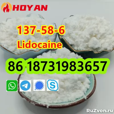 CAS 137-58-6 Lidocaine фото 2