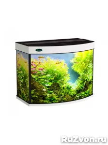 Панорамные аквариумы с тумбой, освещением и крышкой фото 3