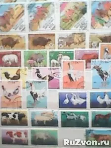 Коллекция марок флора и фауна фото