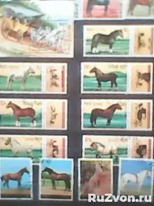 Коллекция марок флора и фауна фото 12