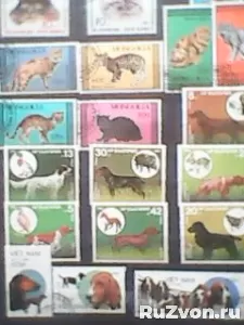 Коллекция марок флора и фауна фото 14