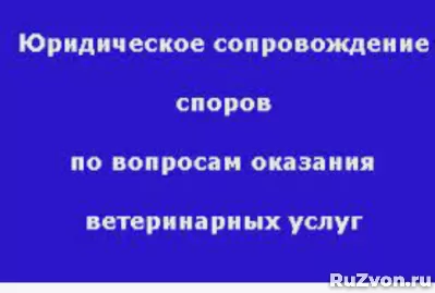 Споры с ветеринарными клиниками в любом городе России и СНГ фото 2