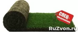 Рулонный газон купить в Москве с доставкой и укладкой фото 1