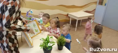 Летний детский сад с разовыми посещениями(1,2-7 л) фото