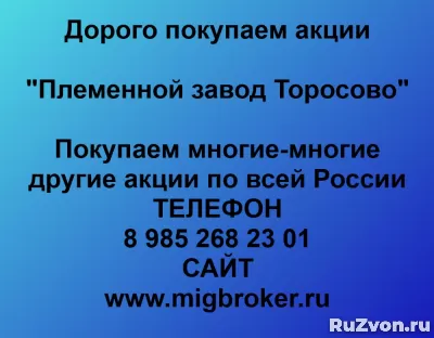 Покупка акций «Племенной завод Торосово» фото