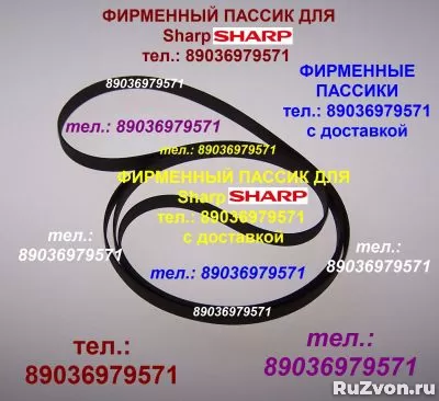 фирм. ПАССИКИ ДЛЯ Sharp RP-113 RP-114 КАЧЕСТВО ПАСИКИ РЕМНИ фото