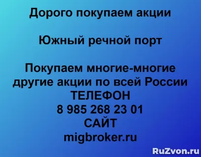 Покупка акций «Южный речной порт» фото