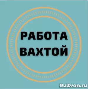 Разнорабочие на мясокомбинат в Тверской области фото