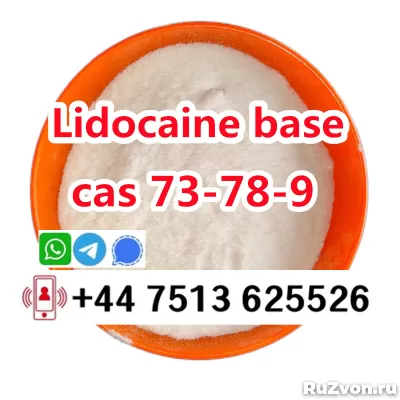 cas 137-58-6 Lidocaine base to europe safety фото 1