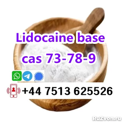 cas 137-58-6 Lidocaine base to europe safety фото 5