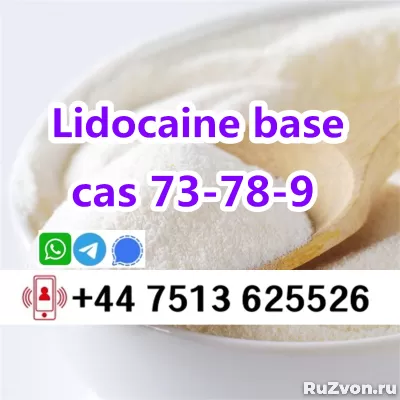 cas 137-58-6 Lidocaine base to europe safety фото 7