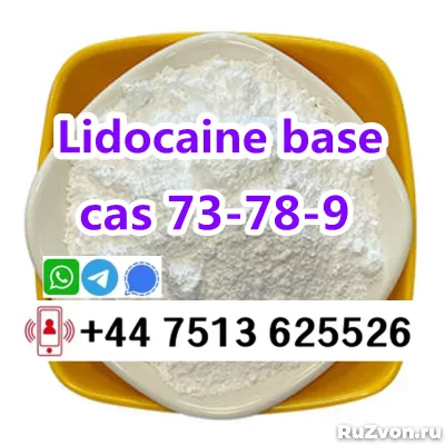 cas 137-58-6 Lidocaine base to europe safety фото 6