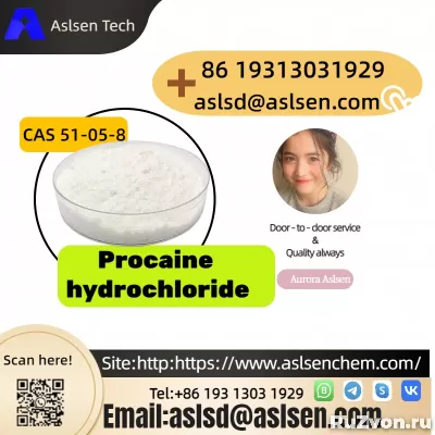 Popular Global Quality Procaine hydrochloride CAS 51-05-8 фото