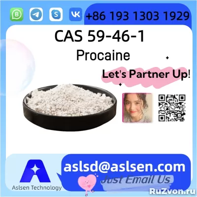 Premium Procaine  CAS Number: 59-46-1 фото