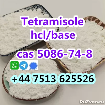 cas 5086-74-8 tetramisole hcl base strong effect export фото 5