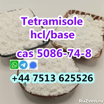 cas 5086-74-8 tetramisole hcl base strong effect export фото 1