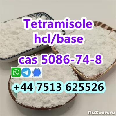 cas 5086-74-8 tetramisole hcl base strong effect export фото 2