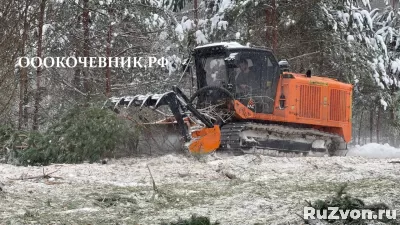 Cпил деревьев и кустaрников, мульчированиe, выкоpчевка пнeй фото 4