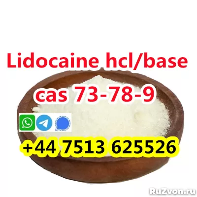 wholesale price cas 73-78-9 Lidocaine Hydrochloride powder фото 1