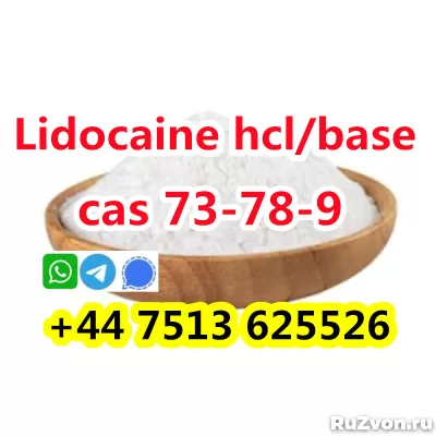 wholesale price cas 73-78-9 Lidocaine Hydrochloride powder фото 2