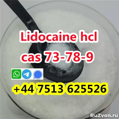 wholesale price cas 73-78-9 Lidocaine Hydrochloride powder фото 5