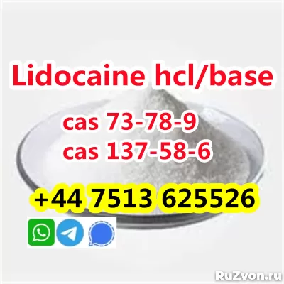 wholesale price cas 73-78-9 Lidocaine Hydrochloride powder фото 7