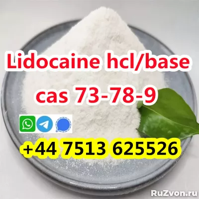 wholesale price cas 73-78-9 Lidocaine Hydrochloride powder фото 3