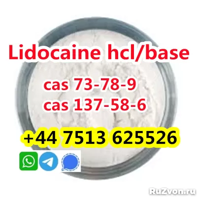 wholesale price cas 73-78-9 Lidocaine Hydrochloride powder фото 9