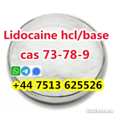 wholesale price cas 73-78-9 Lidocaine Hydrochloride powder фото