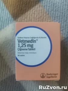 Дёшево оригинал "Ветмедин" 1,25 mg. фото