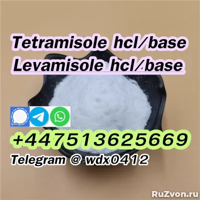 Levamisole powder cas 14769-73-4, Levamisole hcl 16595-80-5 фото