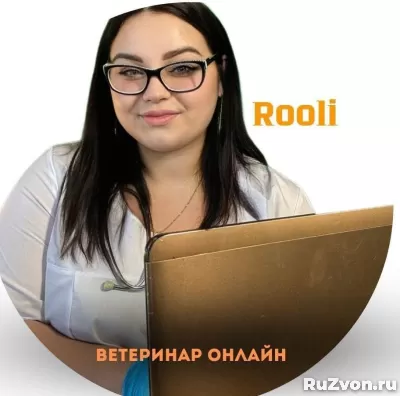 Онлайн консультация ветеринара 24/7 фото