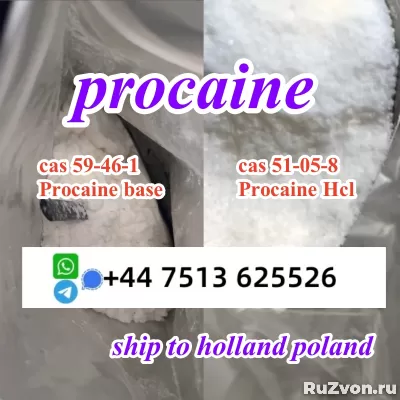 cas 59-46-1 Procaine base powder Procaine Hcl safe ship фото 2