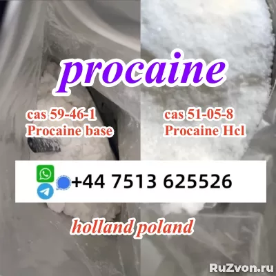 cas 59-46-1 Procaine base powder Procaine Hcl safe ship фото 4