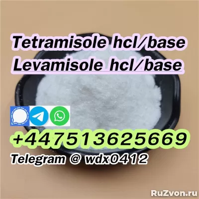 Buy powder Tetramisole hydrochloride cas 5086-74-8 фото