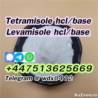 Buy powder Tetramisole hydrochloride cas 5086-74-8 фото 3