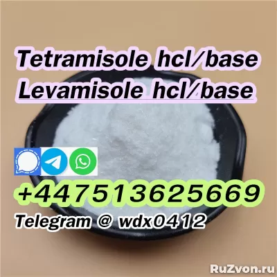 Buy powder Tetramisole hydrochloride cas 5086-74-8 фото 2