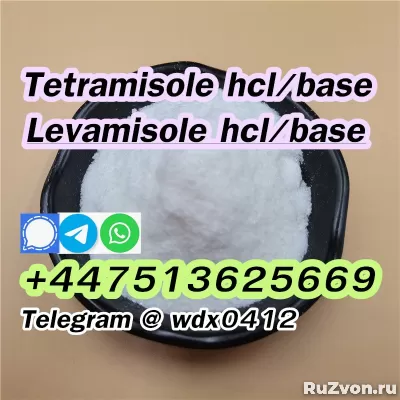 Buy powder Tetramisole hydrochloride cas 5086-74-8 фото 1