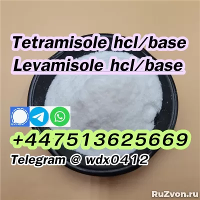 Buy powder Tetramisole hydrochloride cas 5086-74-8 фото 4