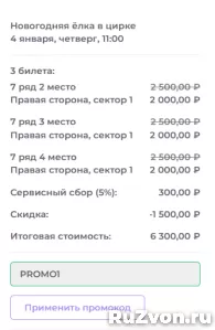 Промокод 20% на все билеты онлайн Цирк в Автово фото 3