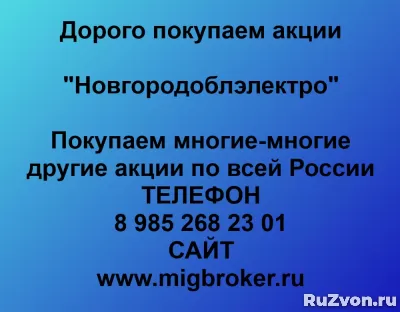 Покупка акций «Новгородоблэлектро» фото